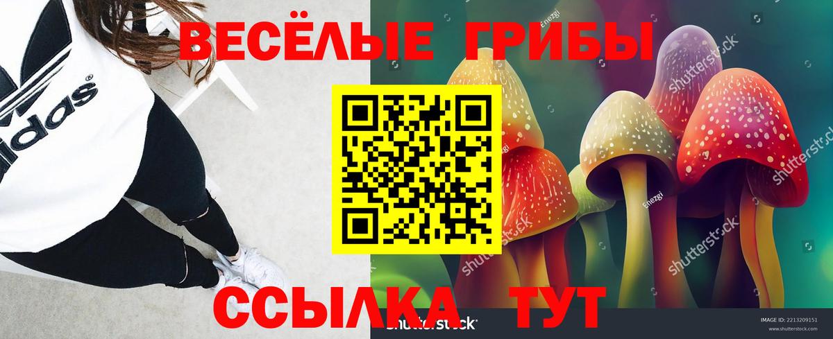 Псилоцибиновые грибы Psilocybe Семилуки
